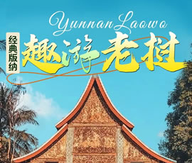 【趣游老撾 · 經(jīng)典版納】—昆明、普洱、西雙版納、磨丁、瑯勃拉邦四動8日游